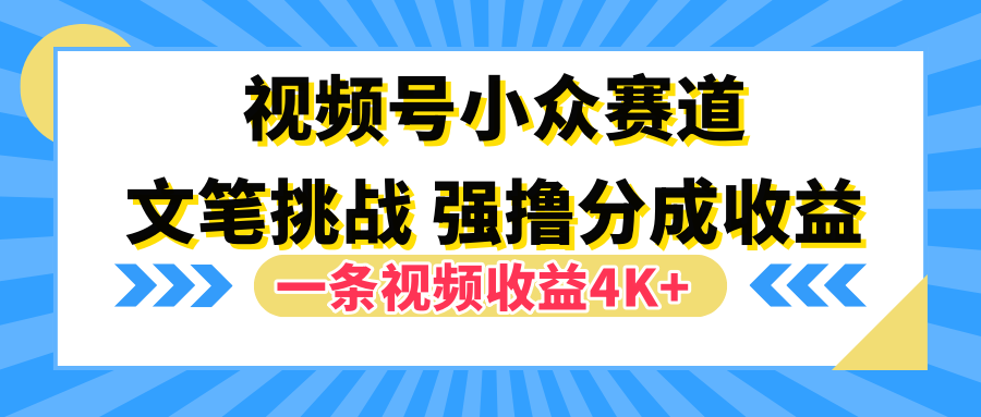 视频号小众赛道，文笔挑战，一条视频收益4K+-布丁源码-专业的网站源码代码分享平台!