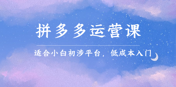 拼多多运营课，适合小白初涉平台，低成本入门-布丁源码-专业的网站源码代码分享平台!