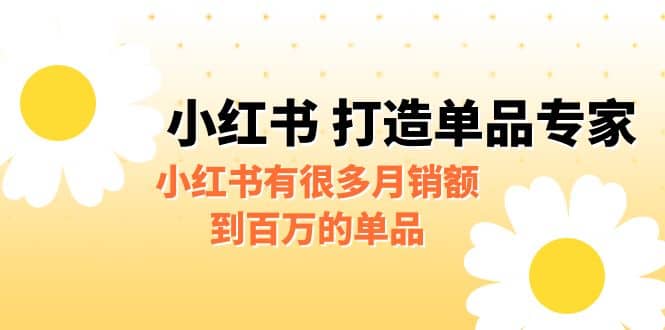 某公众号付费文章《小红书 打造单品专家》小红书有很多月销额到百万的单品-布丁源码-专业的网站源码代码分享平台!