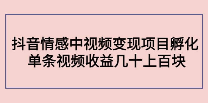 抖音情感中视频变现项目孵化-布丁源码-专业的网站源码代码分享平台!