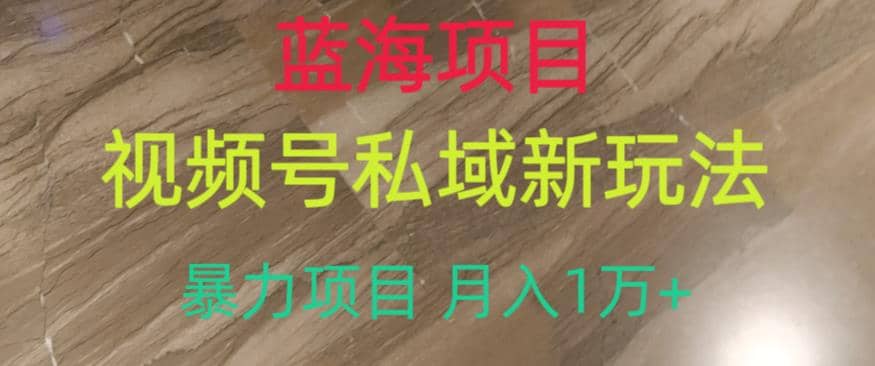 蓝海项目，视频号私域新玩法，暴力项目月入1万+【揭秘】-布丁源码-专业的网站源码代码分享平台!