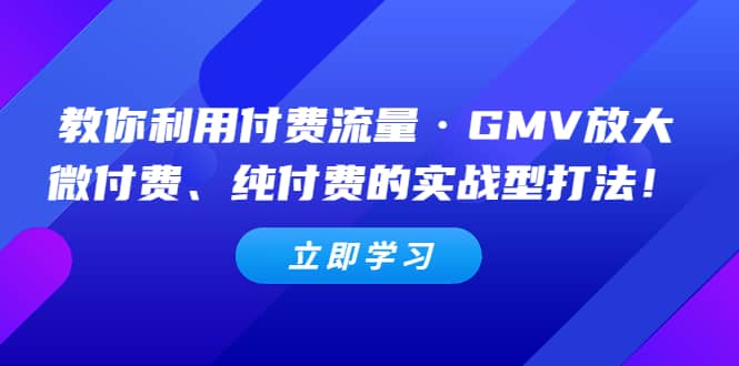 教你利用付费流量·GMV放大，微付费、纯付费的实战型打法-布丁源码-专业的网站源码代码分享平台!