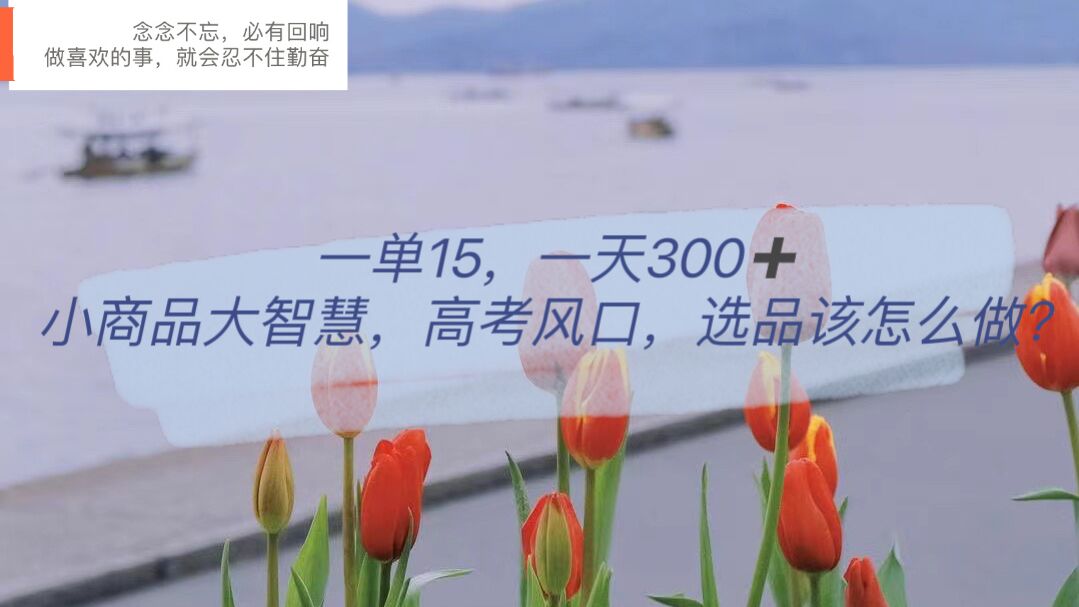 一单15，一天300+，小商品大智慧，高考风口，选品该怎么布局-布丁源码-专业的网站源码代码分享平台!
