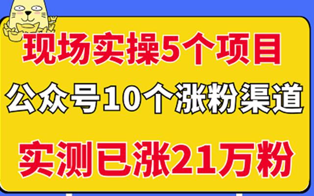 现场实操5个公众号项目，10个涨粉渠道，实测已涨21万粉！-布丁源码-专业的网站源码代码分享平台!