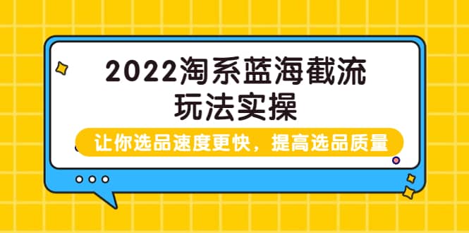 2022淘系蓝海截流玩法实操：让你选品速度更快，提高选品质量（价值599）-布丁源码-专业的网站源码代码分享平台!