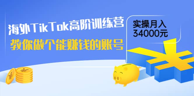 海外TikTok高阶训练营：教你做个能赚钱的账号，实操月入34000元！-布丁源码-专业的网站源码代码分享平台!