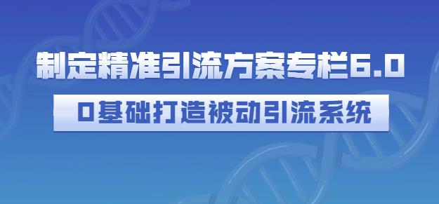 制定精准引流方案专栏6.0，0基础打造被动引流系统-布丁源码-专业的网站源码代码分享平台!