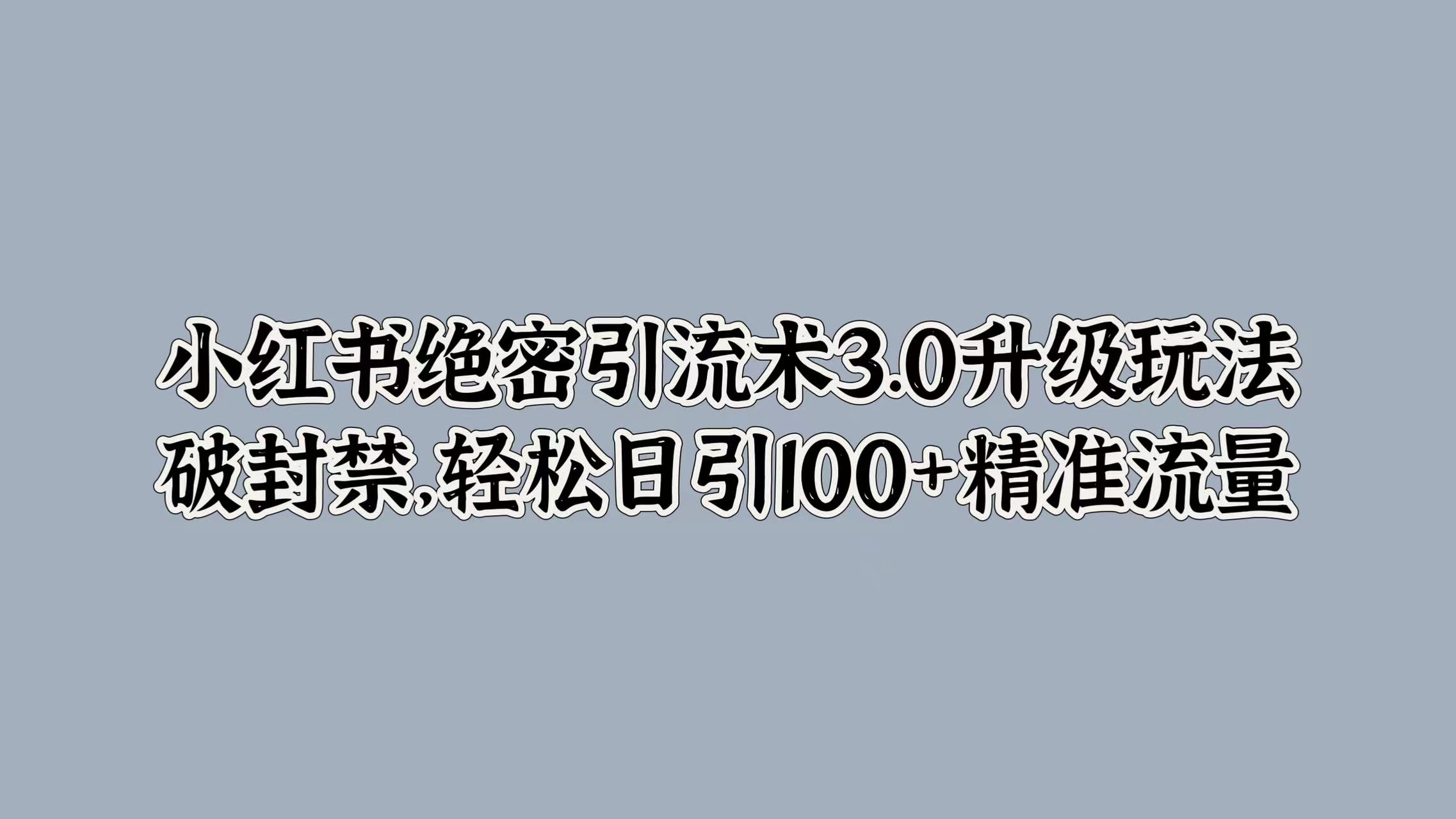 小红书绝密引流术3.0升级玩法，破封禁，轻松日引100+精准流量-布丁源码-专业的网站源码代码分享平台!