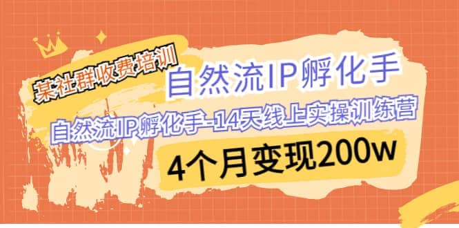 某社群收费培训：自然流IP 孵化手-14天线上实操训练营 4个月变现200w-布丁源码-专业的网站源码代码分享平台!