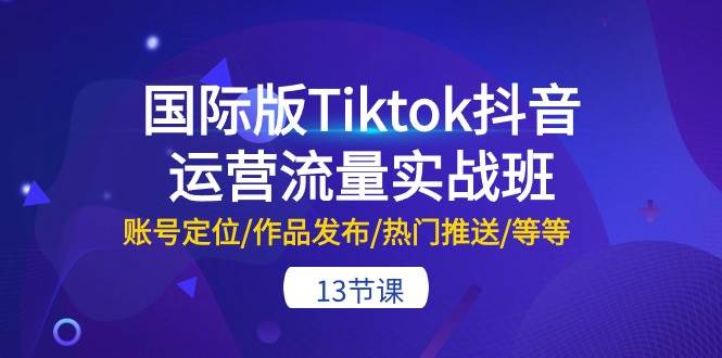 国际版Tiktok抖音运营流量实战班：账号定位/作品发布/热门推送/等等-13节-布丁源码-专业的网站源码代码分享平台!