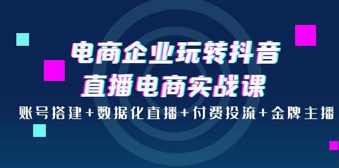 电商企业玩转抖音直播电商实战课：账号搭建+数据化直播+付费投流+金牌主播-布丁源码-专业的网站源码代码分享平台!