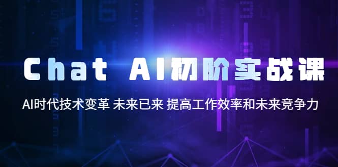 Chat AI初阶实战课，AI时代技术变革 未来已来 提高工作效率和未来竞争力-布丁源码-专业的网站源码代码分享平台!