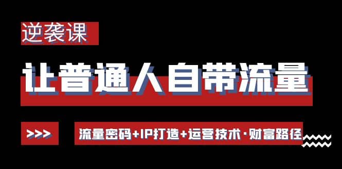 让普通人自带流量的逆袭课：流量密码+IP打造+运营技术·财富路径-布丁源码-专业的网站源码代码分享平台!