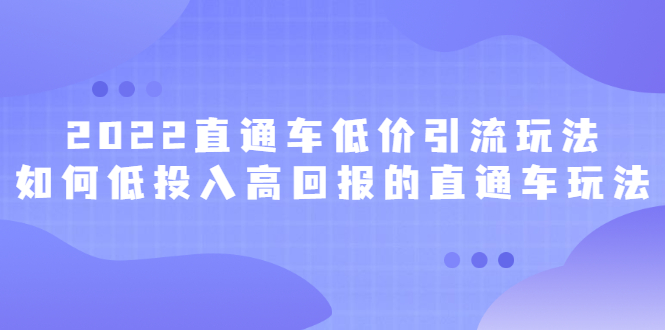 2022直通车低价引流玩法，教大家如何低投入高回报的直通车玩法-布丁源码-专业的网站源码代码分享平台!