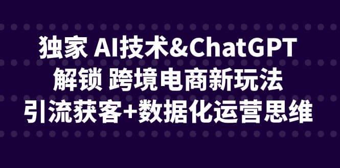 独家 AI技术ChatGPT解锁 跨境电商新玩法，引流获客+数据化运营思维-布丁源码-专业的网站源码代码分享平台!
