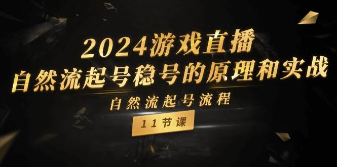 2024游戏直播-自然流起号稳号的原理和实战，自然流起号流程（11节）-布丁源码-专业的网站源码代码分享平台!