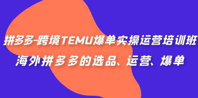 拼多多-跨境TEMU爆单实操运营培训班，海外拼多多的选品、运营、爆单-布丁源码-专业的网站源码代码分享平台!