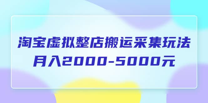 淘宝虚拟整店搬运采集玩法分享课：月入2000-5000元（5节课）-布丁源码-专业的网站源码代码分享平台!