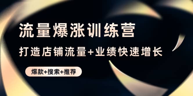 流量爆涨训练营：打造店铺流量+业绩快速增长 (爆款+搜索+推荐)-布丁源码-专业的网站源码代码分享平台!