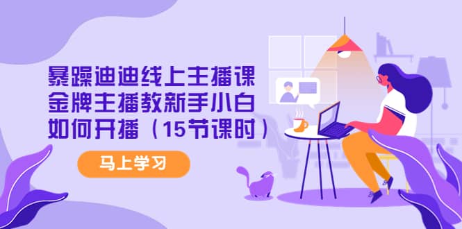 暴躁迪迪线上主播课，金牌主播教新手小白如何开播（15节课时）-布丁源码-专业的网站源码代码分享平台!