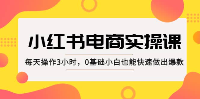小红书·电商实操课：每天操作3小时，0基础小白也能快速做出爆款-布丁源码-专业的网站源码代码分享平台!