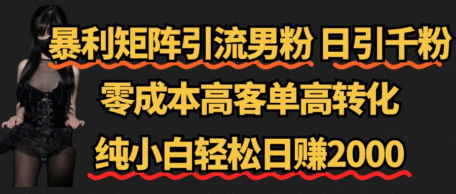 暴利矩阵引流男粉（日引千粉），零成本高客单高转化，纯小白轻松日赚2000+-布丁源码-专业的网站源码代码分享平台!