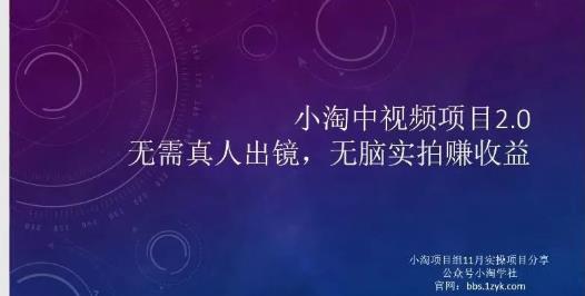 小淘项目组网赚永久会员，绝对是具有实操价值的，适合有项目做需要流程【持续更新】-布丁源码-专业的网站源码代码分享平台!
