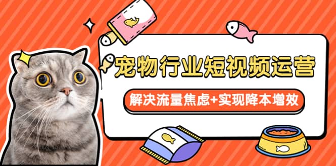 宠物/行业短视频运营 流量增长的一层窗户纸 解决流量焦虑+实现降本增效-布丁源码-专业的网站源码代码分享平台!