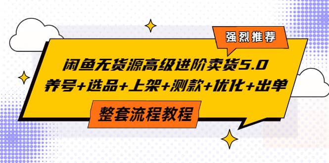 闲鱼无货源高级进阶卖货5.0，养号+选品+上架+测款+优化+出单整套流程教程-布丁源码-专业的网站源码代码分享平台!
