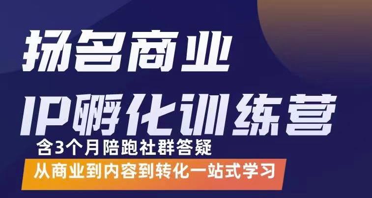 杨名商业IP孵化训练营，从商业到内容到转化一站式学 价值5980元-布丁源码-专业的网站源码代码分享平台!