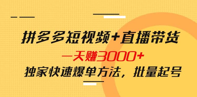 拼多多短视频+直播带货，一天赚3000+独家快速爆单方法，批量起号-布丁源码-专业的网站源码代码分享平台!