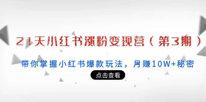 21天小红书涨粉变现营（第3期）：带你掌握小红书爆款玩法，月赚10W+秘密-布丁源码-专业的网站源码代码分享平台!