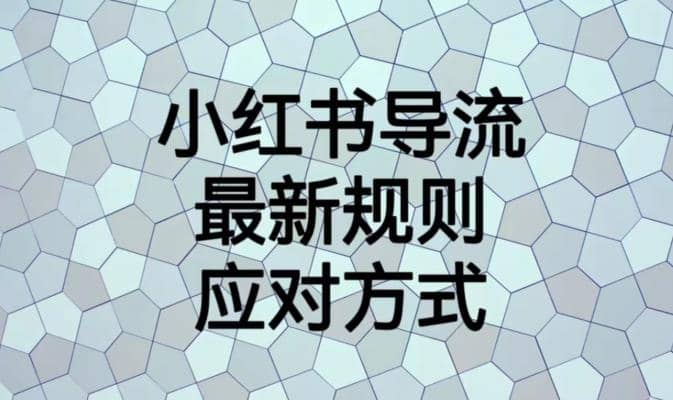 小红书导流最新规则应对方式【揭秘】-布丁源码-专业的网站源码代码分享平台!