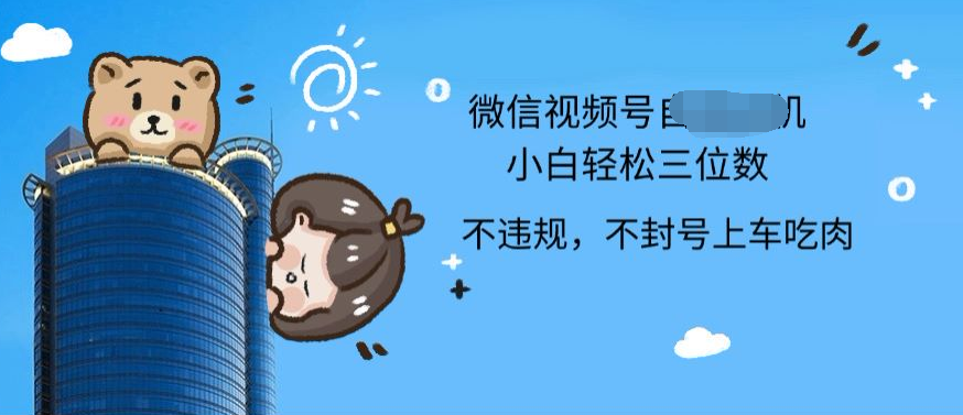 2024最新微信视频号挂机小白可上手，轻松日入三位数-布丁源码-专业的网站源码代码分享平台!