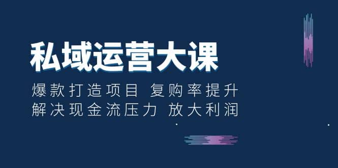 私域运营大课：爆款打造项目 复购率提升 解决现金流压力 放大利润-布丁源码-专业的网站源码代码分享平台!