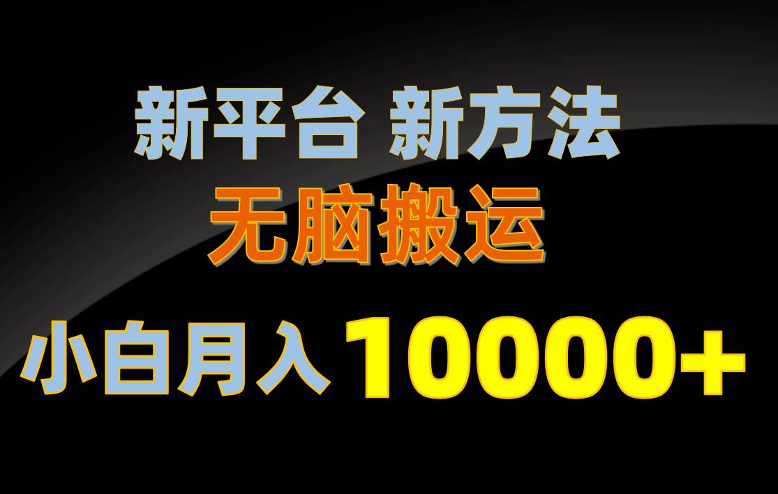 新平台新方法，无脑搬运，月赚10000+，小白轻松上手不动脑-布丁源码-专业的网站源码代码分享平台!
