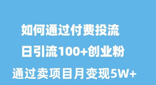 如何通过付费投流日引流100+创业粉月变现5W+-布丁源码-专业的网站源码代码分享平台!