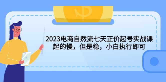2023电商自然流七天正价起号实战课：起的慢，但是稳，小白执行即可-布丁源码-专业的网站源码代码分享平台!