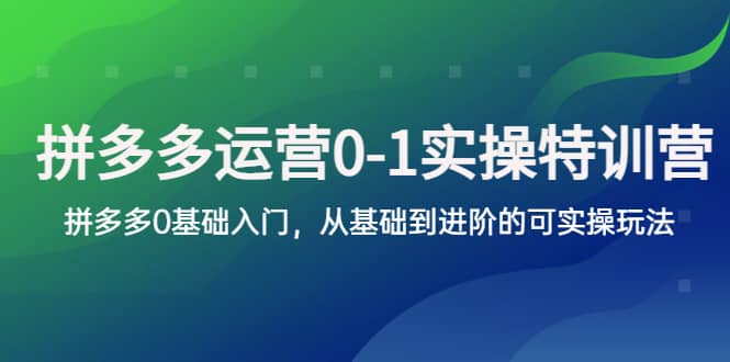 拼多多-运营0-1实操训练营，拼多多0基础入门，从基础到进阶的可实操玩法-布丁源码-专业的网站源码代码分享平台!