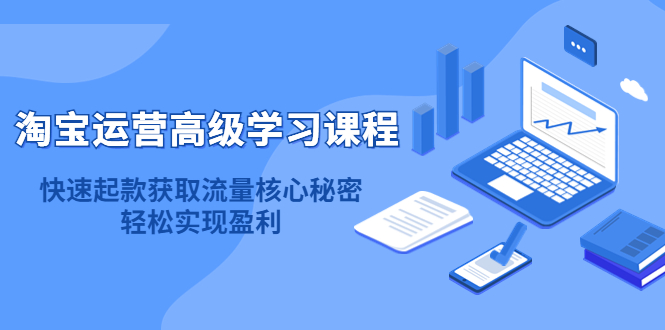 淘宝运营高级学习课程：快速获取流量核心秘密，轻松实现盈利！-布丁源码-专业的网站源码代码分享平台!