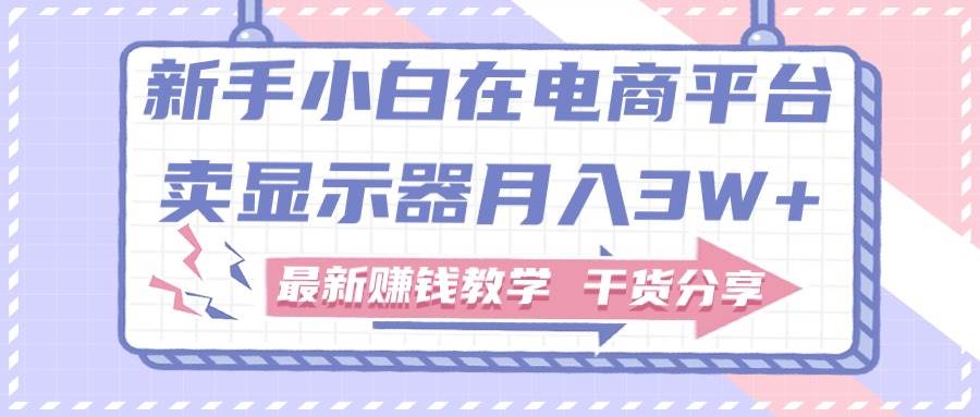 新手小白如何做到在电商平台卖显示器月入3W+，最新赚钱教学干货分享-布丁源码-专业的网站源码代码分享平台!