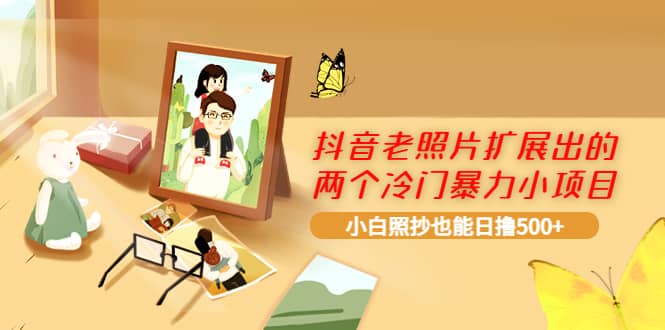 抖音老照片扩展出的两个冷门暴力小项目，小白照抄也能日撸500+-布丁源码-专业的网站源码代码分享平台!