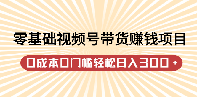 零基础视频号带货赚钱项目，0成本0门槛轻松日入300+【视频教程】-布丁源码-专业的网站源码代码分享平台!