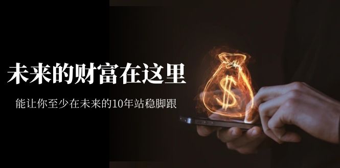 某收费文章《未来的财富在这里》能让你至少在未来的10年站稳脚跟-布丁源码-专业的网站源码代码分享平台!