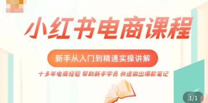 小红书电商新手入门到精通实操课，从入门到精通做爆款笔记，开店运营-布丁源码-专业的网站源码代码分享平台!