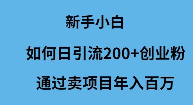 新手小白如何日引流200+创业粉通过卖项目年入百万-布丁源码-专业的网站源码代码分享平台!