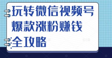 玩转微信视频号爆款涨粉赚钱全攻略，让你快速抓住流量风口，收获红利财富-布丁源码-专业的网站源码代码分享平台!
