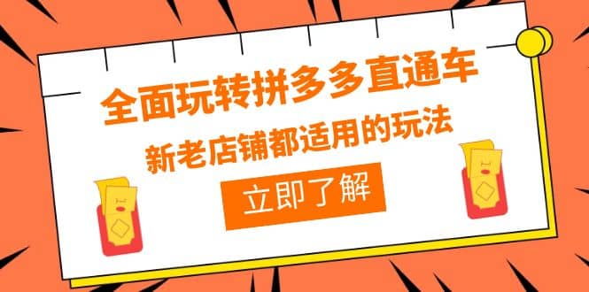全面玩转拼多多直通车，新老店铺都适用的玩法（12节精华课）-布丁源码-专业的网站源码代码分享平台!