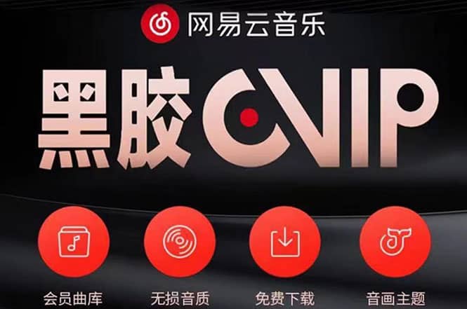 网易云撸黑胶年卡及变现方法，收益可无限放大-布丁源码-专业的网站源码代码分享平台!