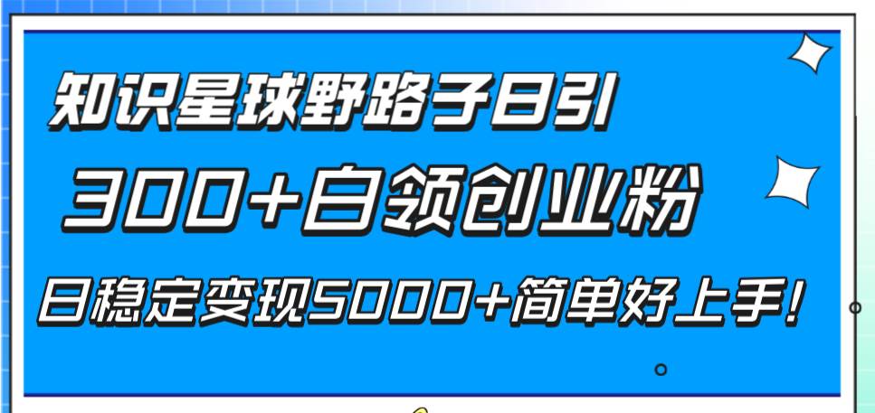 知识星球野路子日引300+白领创业粉，日稳定变现5000+简单好上手！-布丁源码-专业的网站源码代码分享平台!